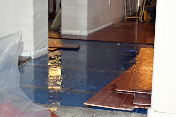 Professional Sewage Cleanup technician working in Sunset, TX